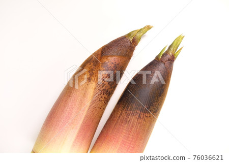 竹筍竹筍 76036621