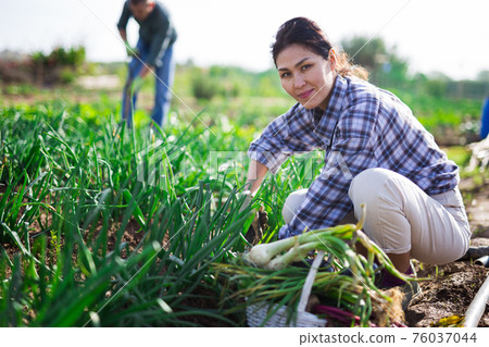 Young woman caring for plants in garden Young woman caring for plants in garden 76037044