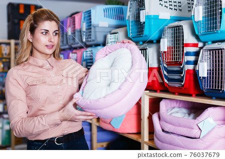 girl looking for sleeping place for pet girl looking for sleeping place for pet 76037679