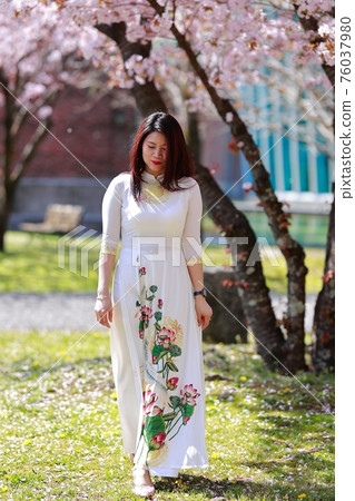 Vietnamese student studying Vietnamese student studying 76037980