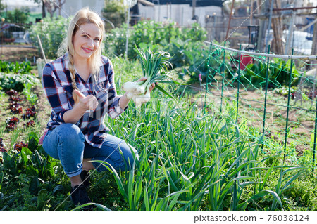 Portrait woman of farmer in a garden bed with onions harvest Portrait woman of farmer in a garden bed with onions harvest 76038124