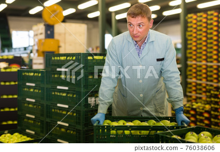 vigorous man working on fruit sorting line, carrying box with apples in storage 76038606