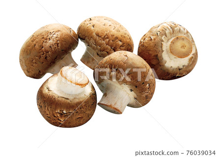 Mushroom_15 (with pass) Mushroom_15 (with pass) 76039034