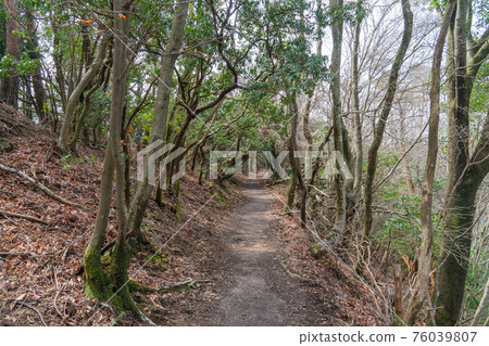 蓬蓬山登山路線（吉峰寺路線） 76039807
