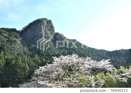 Kozagawa heaven pillar rock and cherry blossoms 76040372