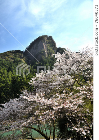 Koza河天堂柱岩和櫻花 76040373