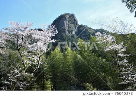 Kozagawa heaven pillar rock and cherry blossoms Kozagawa heaven pillar rock and cherry blossoms 76040378