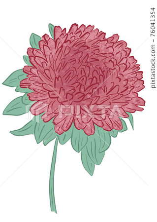 Built-in single lush flower. Large garden flower of red-pink color.Vector. Built-in single lush flower. Large garden flower of red-pink color.Vector. 76041354