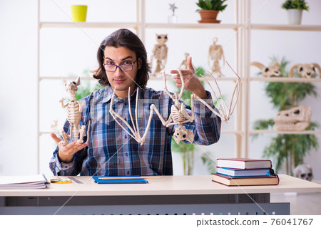 Young male teacher paleontologist in the classroom Young male teacher paleontologist in the classroom 76041767