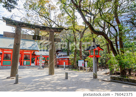 福岡縣博多區春天築前國一宮住吉神社 福岡縣博多區春天築前國一宮住吉神社 76042375
