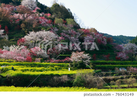 Nishikawa Hana Park Nishikawa Hana Park 76043149