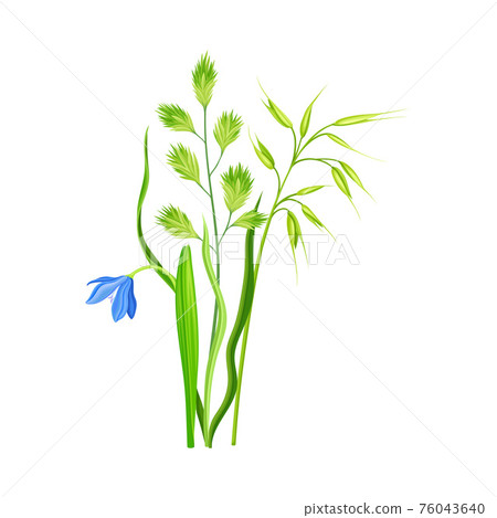 Floral Composition with Wildflowers and Meadow Plants Vector Illustration Floral Composition with Wildflowers and Meadow Plants Vector Illustration 76043640