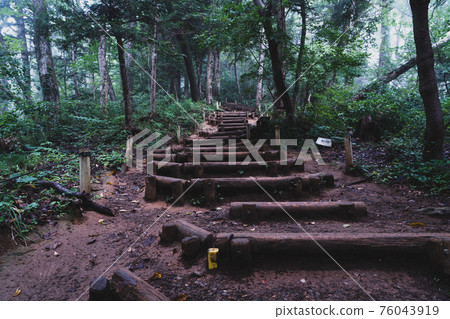 Mt. Takao Route 6 mountain trail Mt. Takao Route 6 mountain trail 76043919