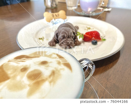 Dog latte art in a cute cafe Dog latte art in a cute cafe 76044166