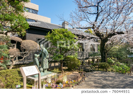 東京都港區乃木神社和乃木公園櫻花盛開 東京都港區乃木神社和乃木公園櫻花盛開 76044931