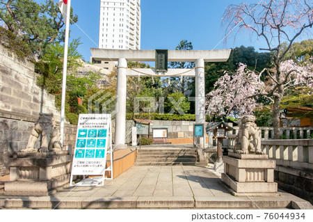 盛開的野木神社和野木公園櫻花野木公園 76044934