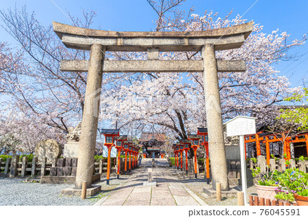 Spring Rokusonno Shrine 76045591