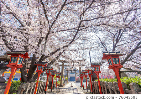 Spring Rokusonno Shrine Spring Rokusonno Shrine 76045593