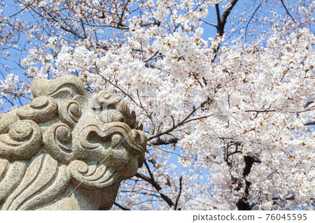 Spring Rokusonno Shrine Spring Rokusonno Shrine 76045595
