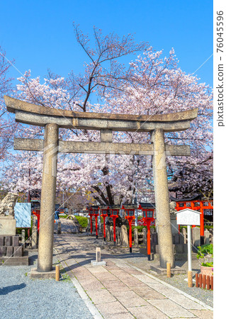 Spring Rokusonno Shrine Spring Rokusonno Shrine 76045596