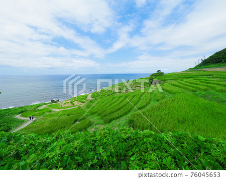 Senmaida on the Noto Peninsula (sunny summer) 76045653