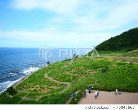 能登半島千枚田(晴天) 能登半島千枚田(晴天) 76045668