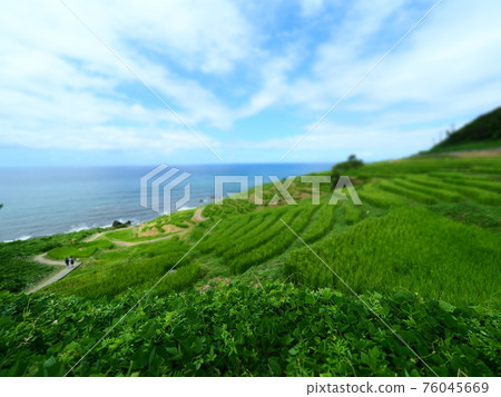 能登半島千枚田（晴天） 76045669