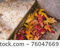 Footprints of autumn leaves 76047669
