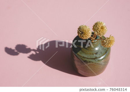 Dandelion dried flowers Dandelion dried flowers 76048314