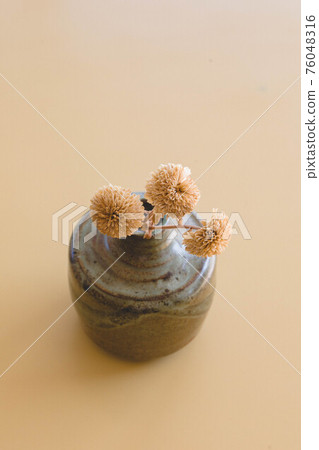 Dandelion dried flowers Dandelion dried flowers 76048316