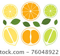 Cross section of citrus fruit 76048922