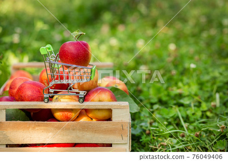 Close-up, selective focus red apple on a mini shopping cart on a red-apple background. 76049406