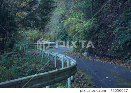 A winding road that extends in the shade A winding road that extends in the shade 76050027