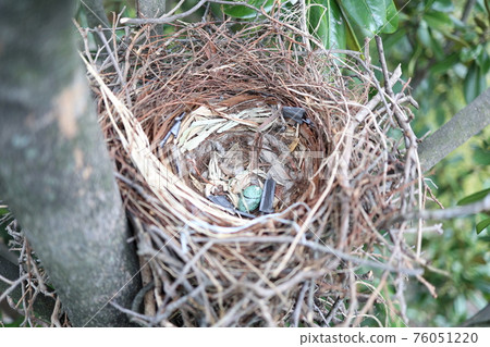 Crow's nest 76051220