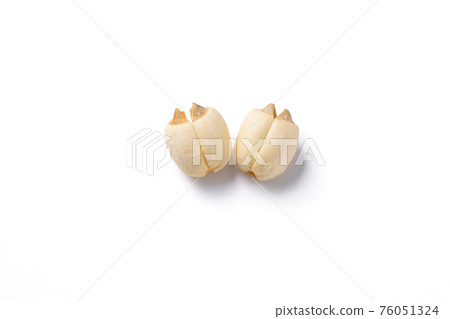 lotus seed Chinese medicine dried Dried lotus seed 76051324