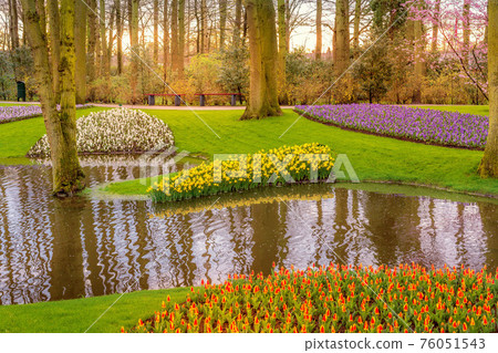 Flowers landscape in Keukenhof, Netherlands 76051543
