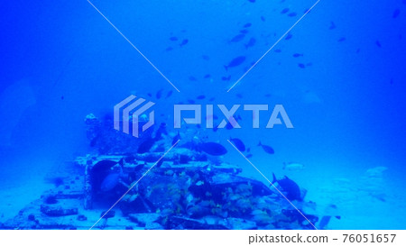 威基基海灘海底 威基基海灘海底 76051657