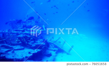 威基基海灘海底 威基基海灘海底 76051658