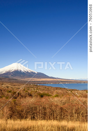 Clear sky, primeval forest and Mt. Fuji 76051668