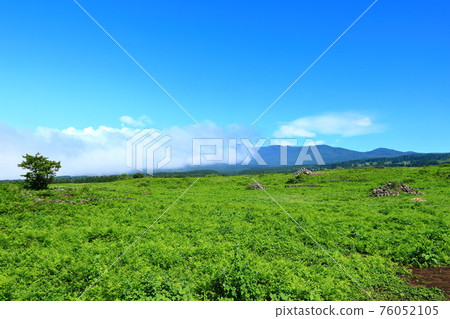 馬牧場，馬場，牧場，草地，漢拿山，草原，田野，夜景， 76052105