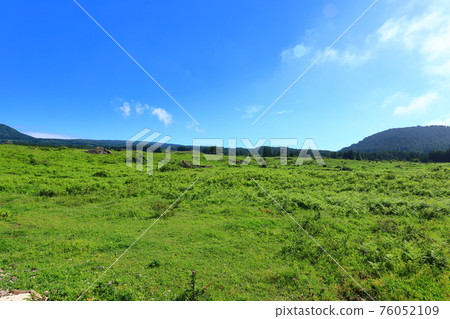 Horse pasture, horse ranch, pasture, grassland, Hallasan, meadow, field, night view, 76052109