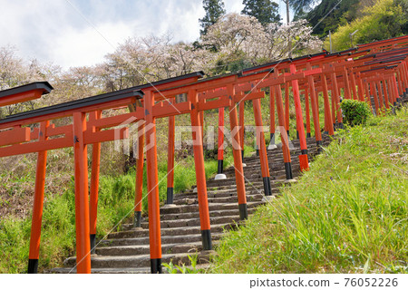 Uvaha Inari神社的鳥居 Uvaha Inari神社的鳥居 76052226