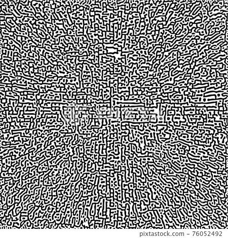 Cyclic Symmetric Multiscale Turing Pattern. Monochrome texture Cyclic Symmetric Multiscale Turing Pattern. Monochrome texture 76052492