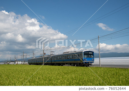 穿越稻田的伊豆箱根鐵道3000系列 76052644