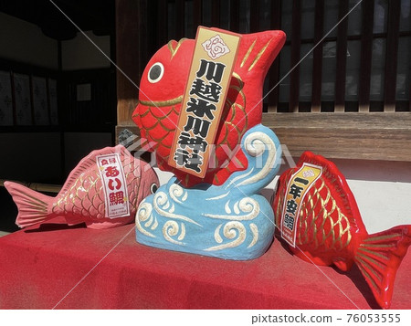 Sea bream at Kawagoe Hikawa Shrine 76053555