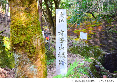 有子山城【續日本城 100 強】 有子山城【續日本城 100 強】 76053839