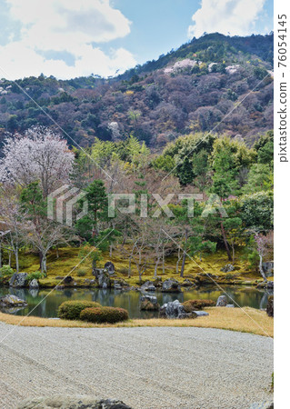 Kyoto Tenryu-ji Temple Spring Sogenchi Garden Kyoto Tenryu-ji Temple Spring Sogenchi Garden 76054145