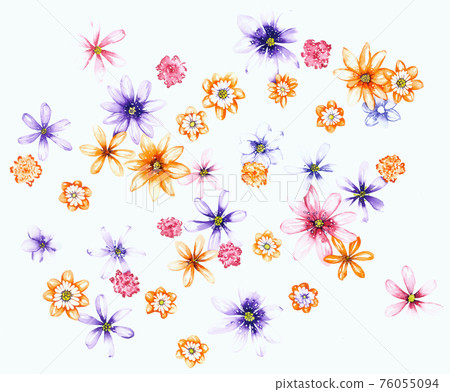 色彩豐富的花卉素材組合和設計元素 色彩豐富的花卉素材組合和設計元素 76055094