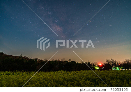 Rape field and Milky Way 76055105
