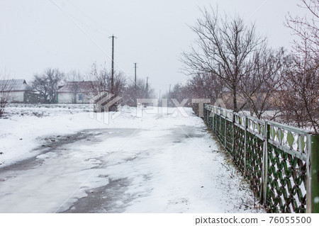 Frozen tree branches covered with white scaly ice. Frozen tree branches covered with white scaly ice. 76055500